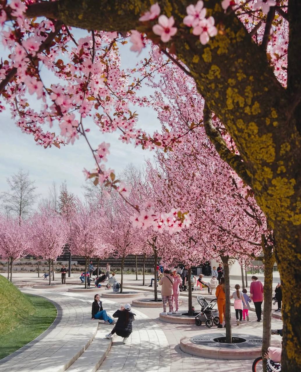 Если планируете поездку на выходные - сейчас отличный повод заглянуть в Краснодар Если планируете поездку на выходные - сейчас отличный повод заглянуть в Краснодар