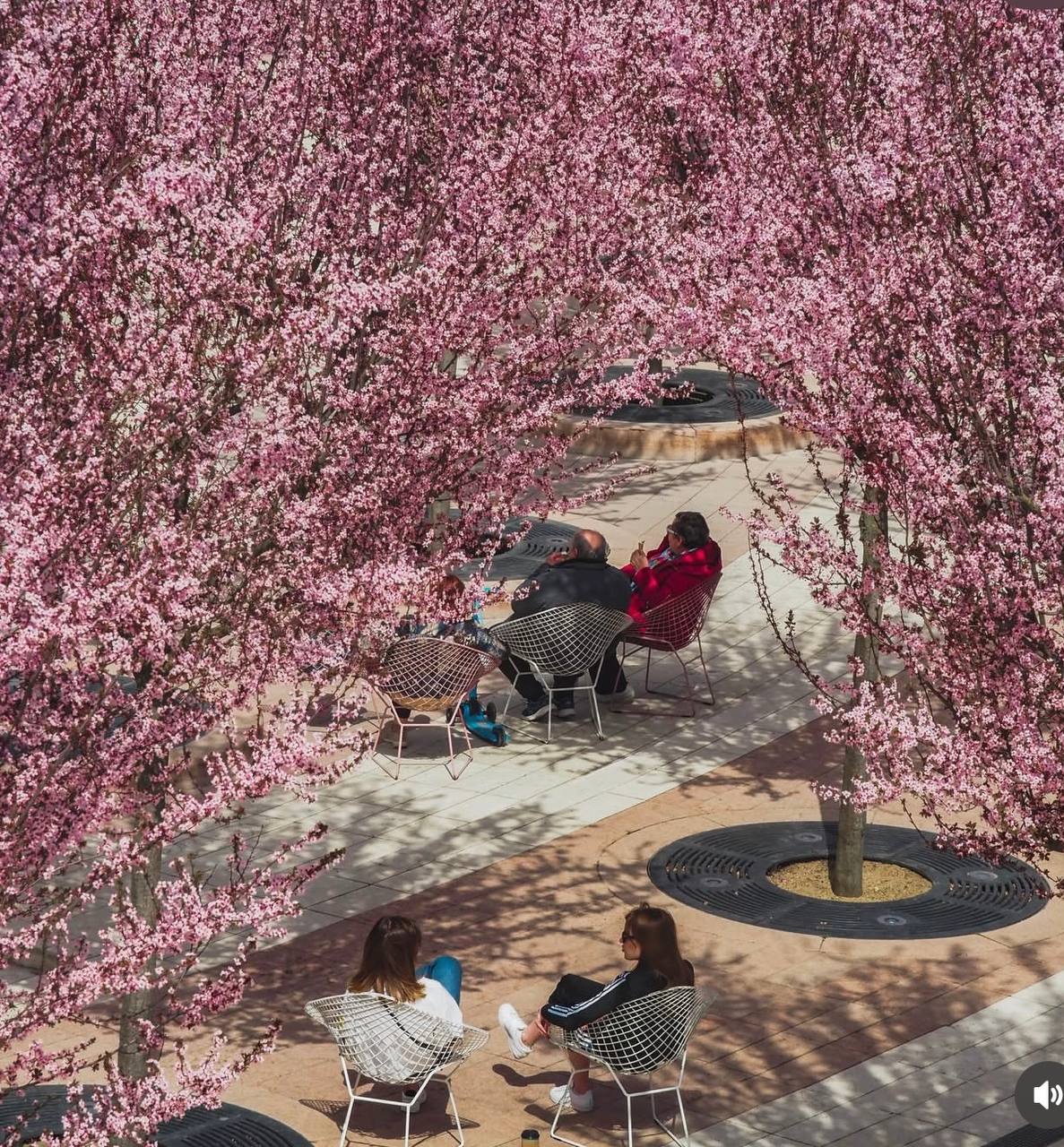 Если планируете поездку на выходные - сейчас отличный повод заглянуть в Краснодар Если планируете поездку на выходные - сейчас отличный повод заглянуть в Краснодар