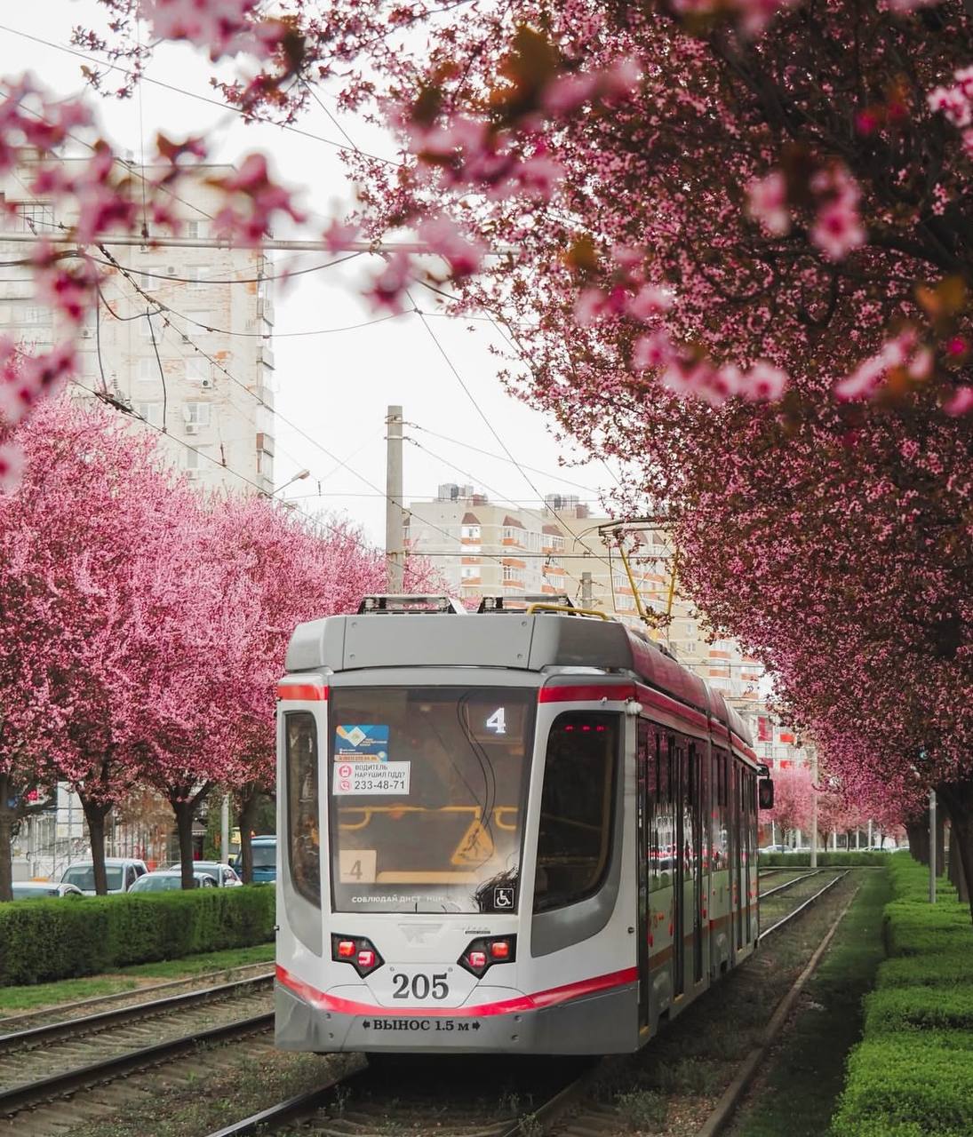 Если планируете поездку на выходные - сейчас отличный повод заглянуть в Краснодар Если планируете поездку на выходные - сейчас отличный повод заглянуть в Краснодар