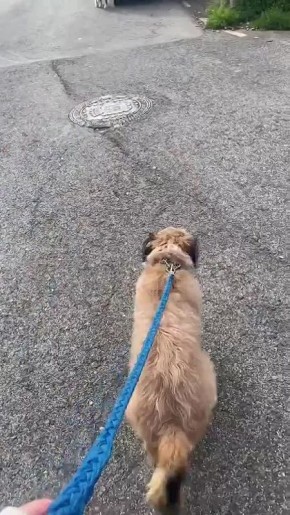 Выходные. И день в радость, когда не нужно на работу