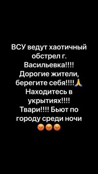 Ночью ВСУ хаотично обстреливали Васильевку