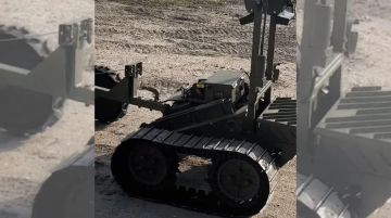 ���������� ��������� �������� Temerland ����������� �������� ���������������� �������� ������-�����������