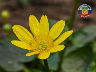 ������ ����! ������������, ����� ���� ��������!