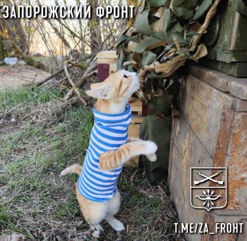 ���� ������� ���� � ������������ �����������