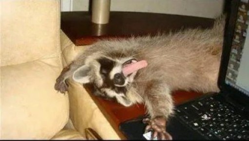 ������ ����, ������� ����������! ������ ����, ���������!