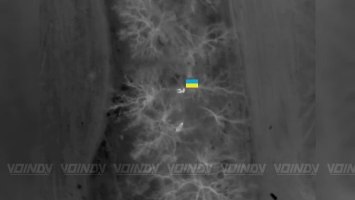 ����������� ��������� ��� ����������, ���������� ��� �������� ���� ����������� � ����������� �.�. �����-���� � ����� ���������� �����������