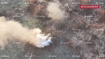 Два штурмовика пешком преодолели 20 километров и ворвались в опорный пункт ВСУ в Запорожской области