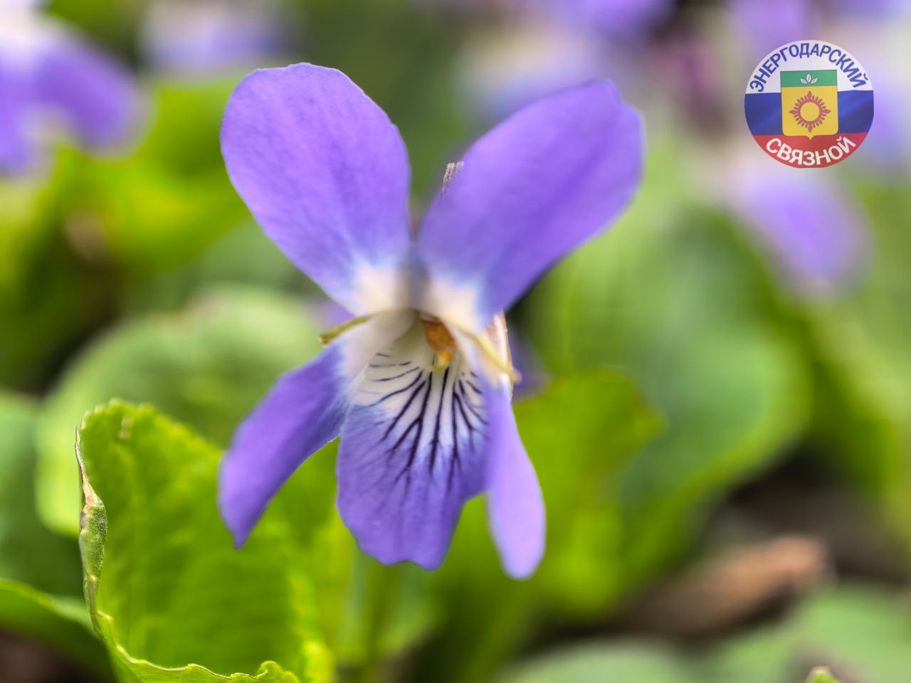 Доброго утра! Желаем вам сегодня ощутить, что любые цели достижимы