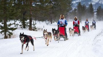 �� ������� ���������� ����� �� �������� ��������, ����������� ������ ���