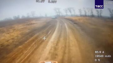 Ударные дроны группировки "Север" сорвали ротацию ВСУ на сумском направлении