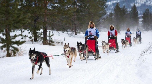 �� ������� ���������� ����� �� �������� ��������, ����������� ������ ���