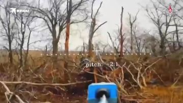 �������� ������� ����������: ���������� �������� �������� �� ��� ���������� �������� � ���� ����������