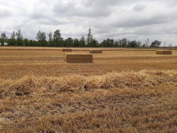 ���������������� ���������� � �������� ���������������� ������