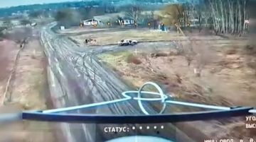 ���������: ������ ���������� ��������� ������� � ������� �������� ���� ����� �� ������!