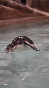 �������� �� �������������� �������� ����������, ��� ���� � ����������� ��������� � ������� � ������