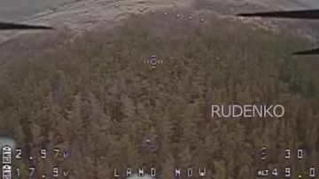 Расчёты войск беспилотных систем спецназа группировки войск «Центр» уничтожили оборудование и расчёт FPV-дронов ВСУ на Добропольском направлении