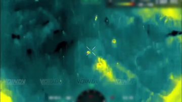 ������ ���������� ���� 29 ����� ����������� ����� "������" �� ����������� ����� ���� ���������� �� ����������� �����������