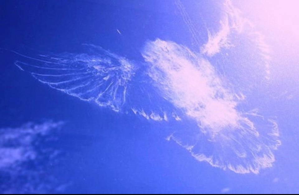 Когда судьба расставит чётко роли