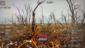 WarGonzo: Весной у дроноводов появляется много работы