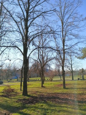 ���� �������� � ���, ����� �������� ����� ����