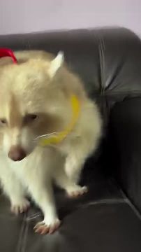 ������ ����, ������! �������� ��� ��� � ��������� ����������!