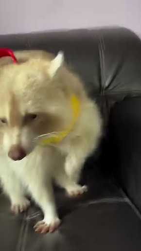 ������ ����, ������! �������� ��� ��� � ��������� ����������!