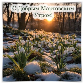 � ������ ����� ������������