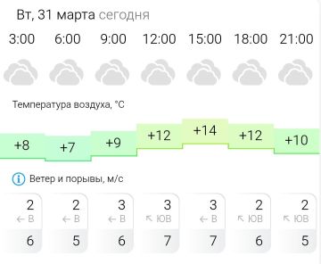 ПРОГНОЗ ПОГОДЫ. Во вторник, 31 марта в Энергодаре пасмурно, дождь