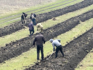 � ������ ���� �������� ������� ������ ���������� ��������� �� ��������� ������� ������������� �����, ������� 1000 �������� ����� �� ���������� �������� ���� ������������� ������