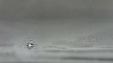 ���� ��������-ѻ ������������� ������������ ��������� ������������ �� ������ ����������� ������ �������� � ���� ��������������� ����������� ����� ������