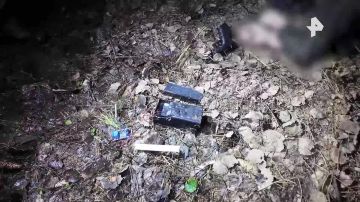 ������������ ���������� �����, ������� ���������� ������ � �����������