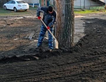 ������� �� ��������� ��������� � ������� - ������� ������ ��������������� � ����������