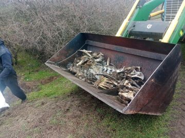 ������� �� ������� �� ������ �� Ը�������