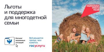 В Запорожской области в рамках национального проекта «Экономика данных и цифровая трансформация государства» реализуется проект «Жизненные ситуации»