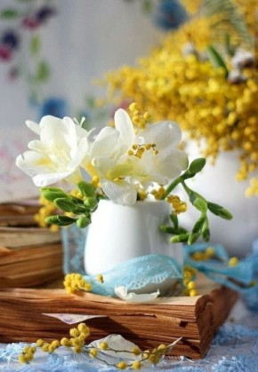 ������� ���� ����!