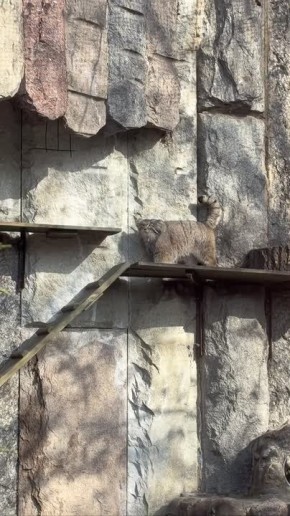 ���� ������ ������� ���������� � ��������