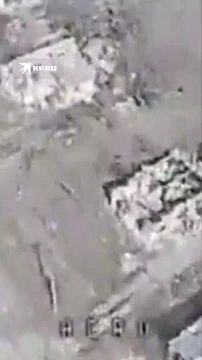 �������� ������� �������� ���� ���������� ��������� ������ ��� �� ���������