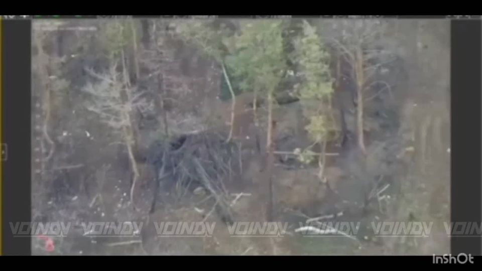 ����������� ��� ���������� ����������� ���� 14 ����������� ������� �������� ����������� ����� "������", ����������� �.�. �����