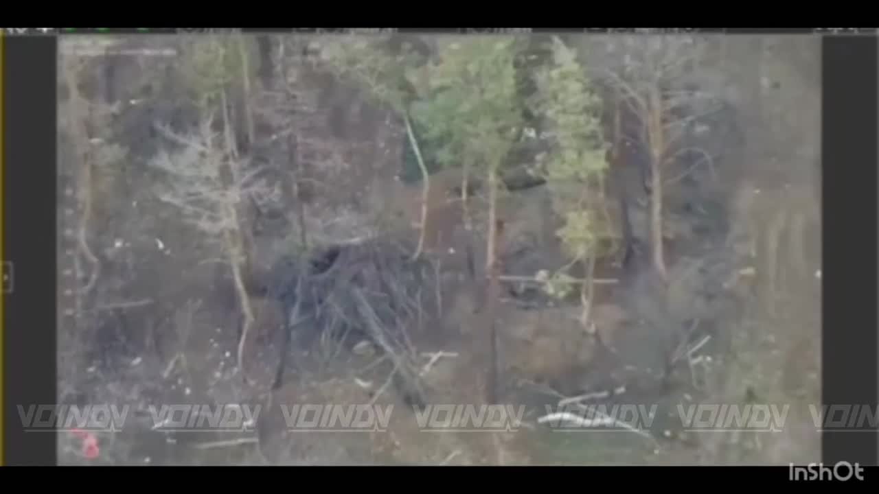 Уничтожение САУ противника операторами БпЛА 14 гвардейской бригады спецназа группировки войск "Восток", окрестности н.п. Тихое