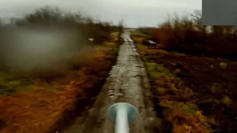 ������������ ���������� ������� �� �������