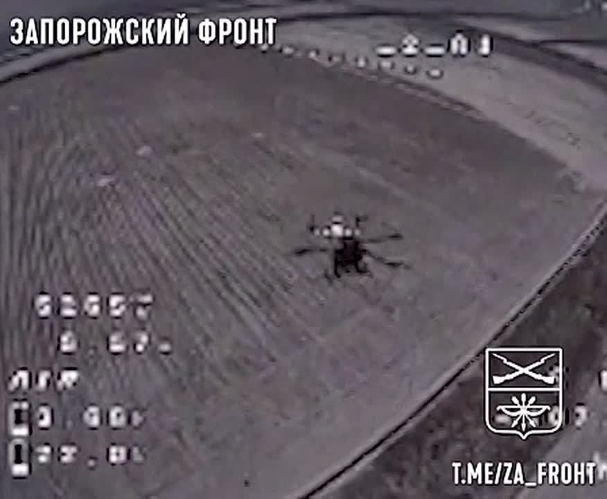 ���� ����� ���������� ������� ���� �� ��������� �������������