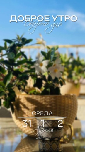 Доброго утра, дорогие мелитопольцы!!!