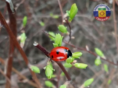 Доброго и счастливого Утра!
