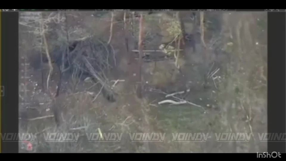 ����������� 14 ������� ��������� � ����� ���������� ���������� ��������� � ������ ������ ����������� �������