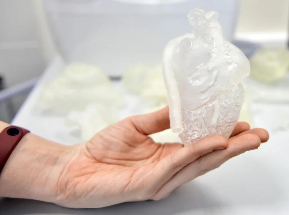 � �������� ��������� ����� ����������� �������� ������