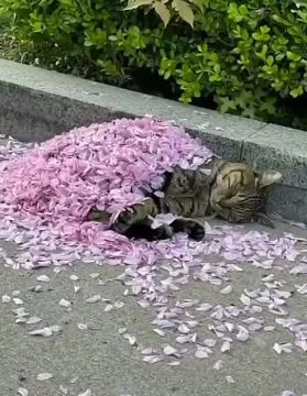 ����� � ��������� �������. ������� ����������� ����� �������