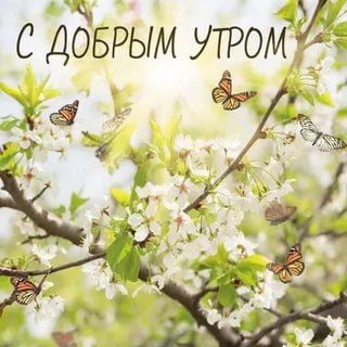 С Добрым утром Днепрорудное