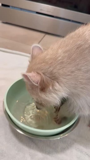 Доброе утро, друзья! Хорошего вам дня и отличного настроения!