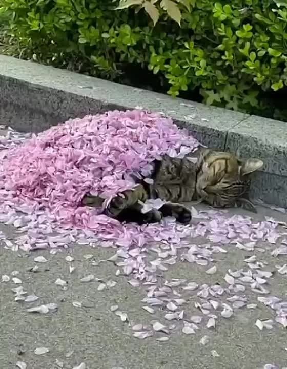 ����� � ��������� �������. ������� ����������� ����� �������