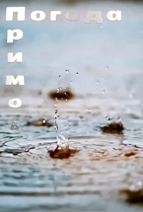 ������ �������� (���������� �����), 01.04.2026